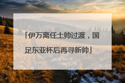 伊万离任土帅过渡，国足东亚杯后再寻新帅