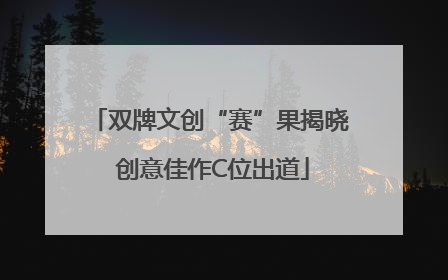 双牌文创“赛”果揭晓 创意佳作C位出道