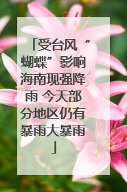 受台风“蝴蝶”影响海南现强降雨 今天部分地区仍有暴雨大暴雨