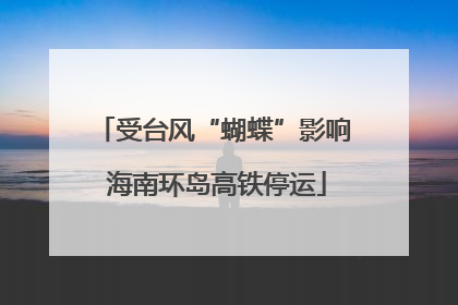 受台风“蝴蝶”影响 海南环岛高铁停运