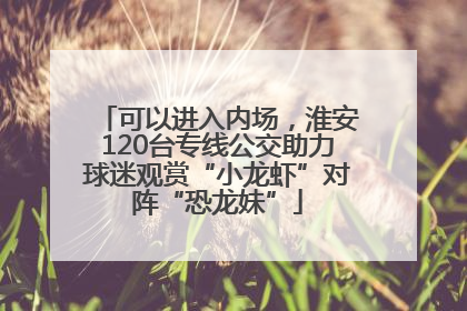 可以进入内场，淮安120台专线公交助力球迷观赏“小龙虾”对阵“恐龙妹”