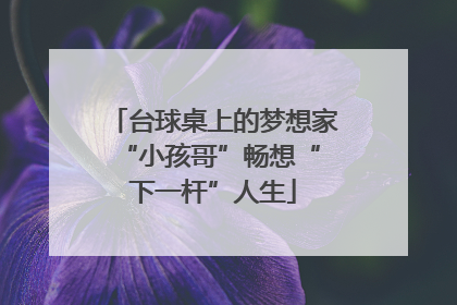 台球桌上的梦想家 “小孩哥”畅想“下一杆”人生