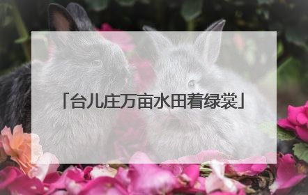 台儿庄万亩水田着绿裳