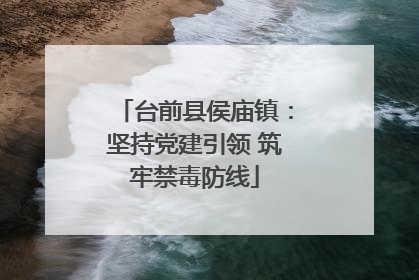 台前县侯庙镇：坚持党建引领 筑牢禁毒防线