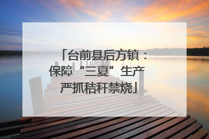 台前县后方镇：保障“三夏”生产 严抓秸秆禁烧