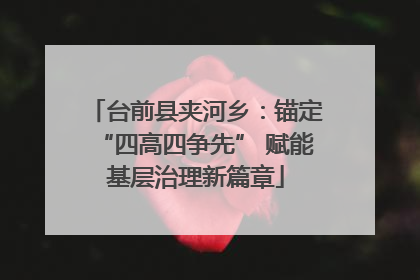 台前县夹河乡：锚定“四高四争先” 赋能基层治理新篇章