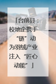 台前县：校地企携手“链”动 为羽绒产业注入“匠心动能”