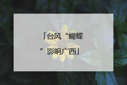 台风“蝴蝶”影响广西