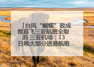 台风“蝴蝶”致成都直飞三亚航班全取消 三亚机场：13日晚大部分进港航班还未取消