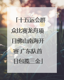 十五运会群众比赛龙舟项目佛山南海开赛 广东队首日包揽三金