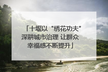 十堰以“绣花功夫”深耕城市治理 让群众幸福感不断提升