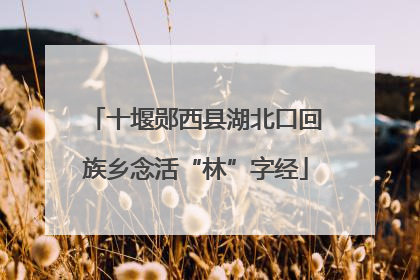 十堰郧西县湖北口回族乡念活“林”字经