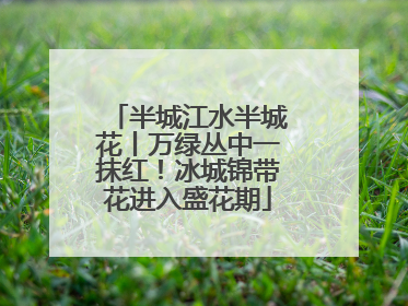 半城江水半城花丨万绿丛中一抹红！冰城锦带花进入盛花期