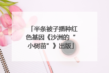 半条被子播种红色基因《沙洲的“小树苗”》出版