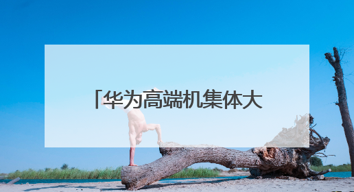 华为高端机集体大跳水，2025最值得买的2款高端机 mate70、pura70如何选？