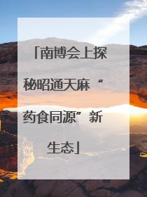 南博会上探秘昭通天麻“药食同源”新生态