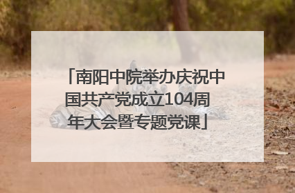 南阳中院举办庆祝中国共产党成立104周年大会暨专题党课