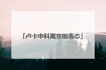 卢卡申科离京前表态