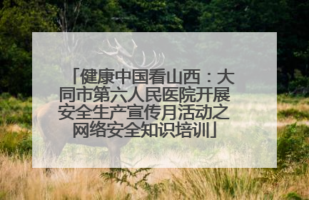 健康中国看山西：大同市第六人民医院开展安全生产宣传月活动之网络安全知识培训