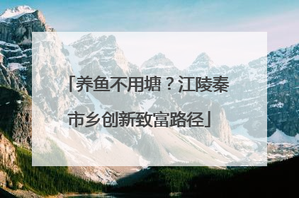 养鱼不用塘？江陵秦市乡创新致富路径