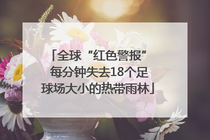 全球“红色警报”  每分钟失去18个足球场大小的热带雨林