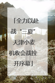 全力以赴战“三夏” 天津小麦机收会战拉开序幕