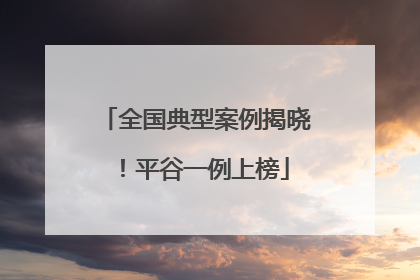 全国典型案例揭晓！平谷一例上榜