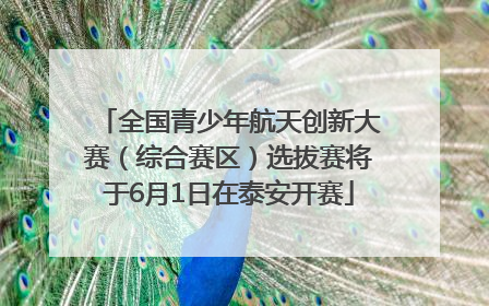 全国青少年航天创新大赛（综合赛区）选拔赛将于6月1日在泰安开赛