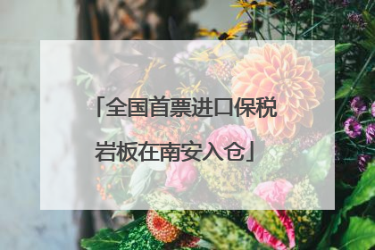 全国首票进口保税岩板在南安入仓