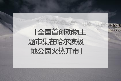 全国首创动物主题市集在哈尔滨极地公园火热开市