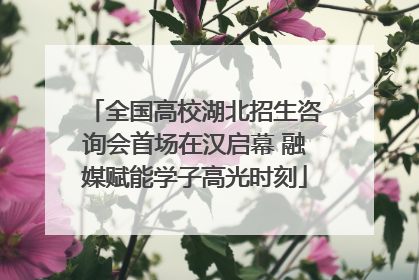 全国高校湖北招生咨询会首场在汉启幕 融媒赋能学子高光时刻
