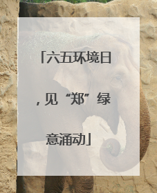 六五环境日，见“郑”绿意涌动