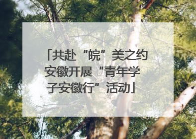 共赴“皖”美之约 安徽开展“青年学子安徽行”活动
