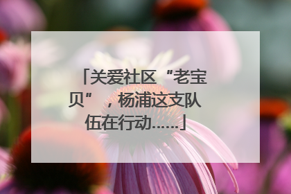 关爱社区“老宝贝”，杨浦这支队伍在行动……