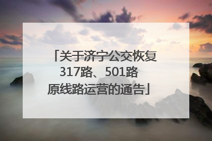 关于济宁公交恢复317路、501路原线路运营的通告