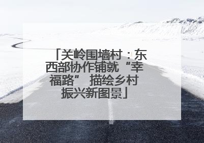 关岭围墙村：东西部协作铺就“幸福路” 描绘乡村振兴新图景