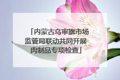 内蒙古乌审旗市场监管局联动共同开展肉制品专项检查