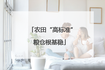 农田“高标准” 粮仓根基稳