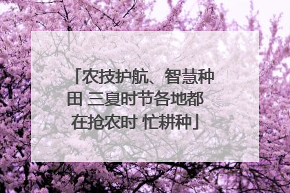 农技护航、智慧种田 三夏时节各地都在抢农时 忙耕种