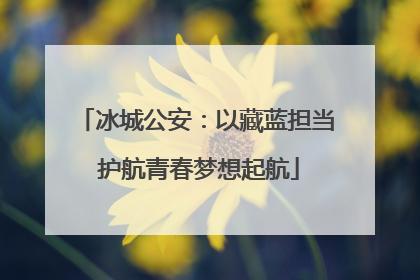 冰城公安：以藏蓝担当 护航青春梦想起航