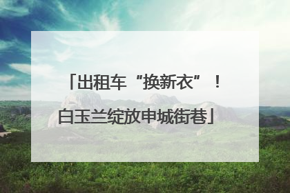 出租车“换新衣”！白玉兰绽放申城街巷