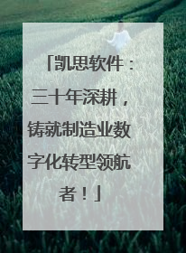 凯思软件：三十年深耕，铸就制造业数字化转型领航者！