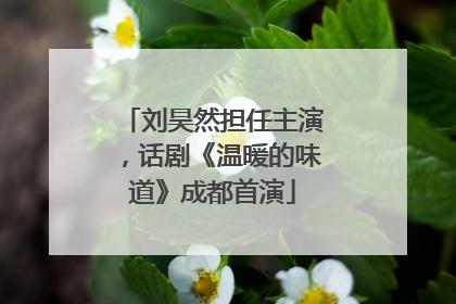 刘昊然担任主演，话剧《温暖的味道》成都首演