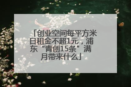 创业空间每平方米日租金不超1元，浦东“青创15条”满月带来什么
