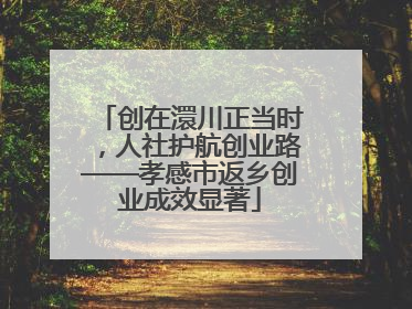 创在澴川正当时，人社护航创业路——孝感市返乡创业成效显著