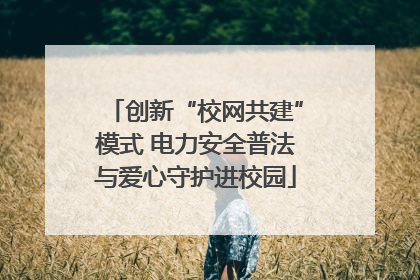 创新“校网共建”模式 电力安全普法与爱心守护进校园