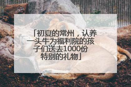 初夏的常州，认养一头牛为福利院的孩子们送去1000份特别的礼物