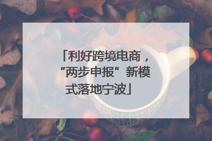 利好跨境电商，“两步申报”新模式落地宁波