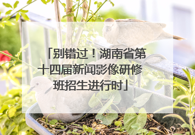 别错过！湖南省第十四届新闻影像研修班招生进行时