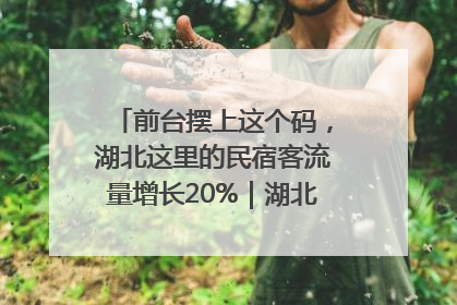 前台摆上这个码，湖北这里的民宿客流量增长20%｜湖北市场监管所的故事